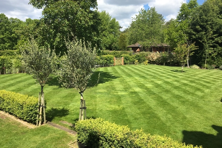 Taking care of your lawn in October