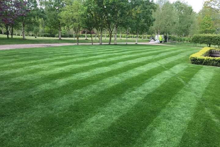 Taking care of your lawn in September