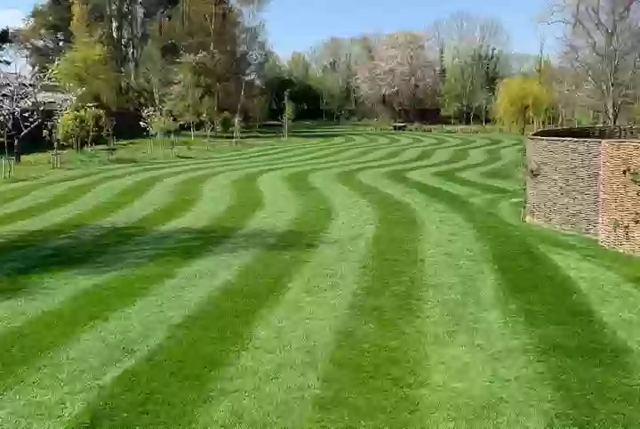 Lawn Turfing