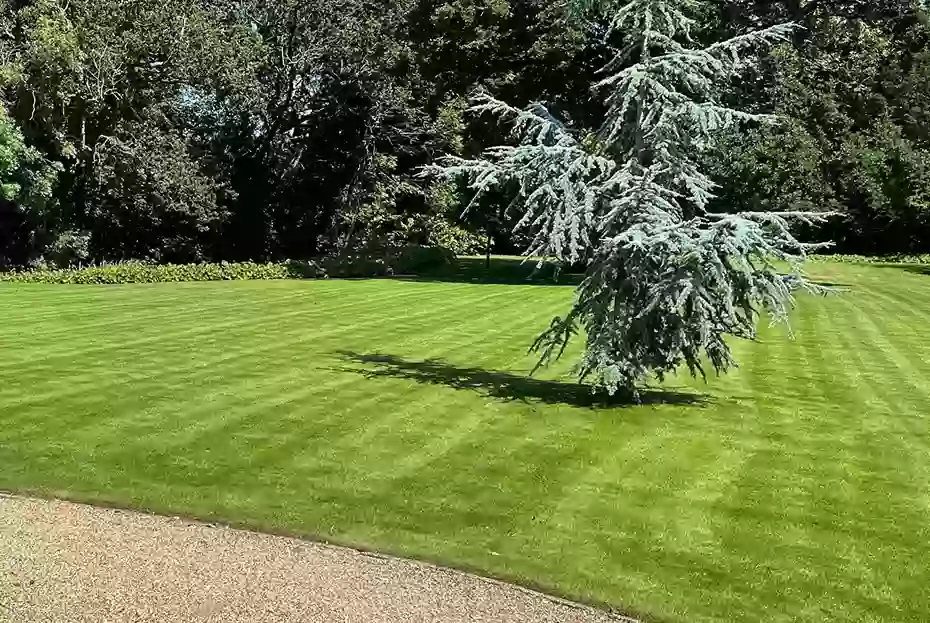 Organic Lawn Care