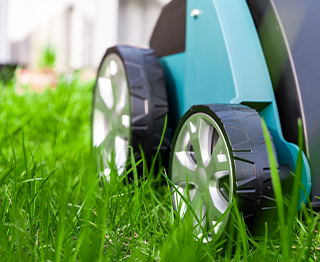 Taking Care of your Lawn in November