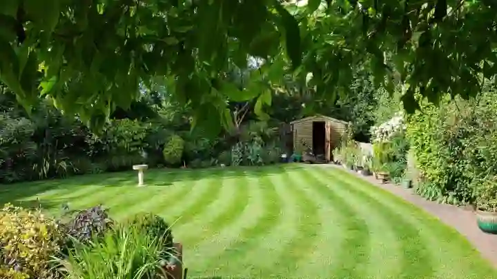 Lawn Experts Great Yarmouth